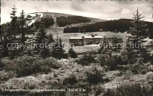 Schwarzwald Berghotel Herzogenhorn Kat. Regionales