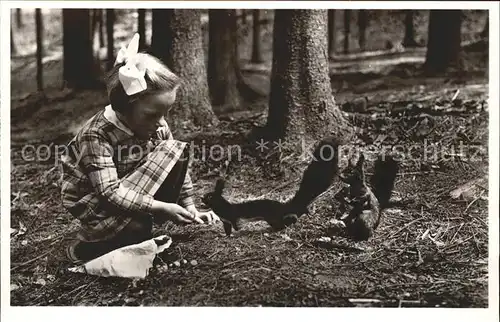 Eichhoernchen Doniswald Koenigsfeld Schwarzwald Kat. Tiere