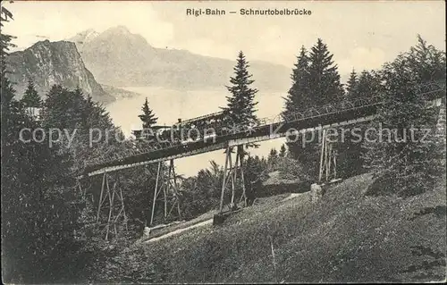 Zahnradbahn Rigi Bahn Schnurtobelbruecke Kat. Bergbahn