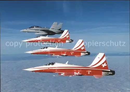 Luftwaffe Kampfflugzeug F A 18D Hornet Tiger Raumschutzjaegern F 5E Patrouille Suisse Kat. Militaria