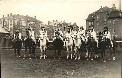 Pferde Kavallerie Kat. Tiere