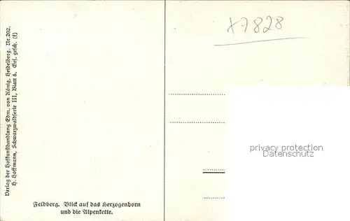 Hoffmann Heinrich Feldberg Herzogenborn Alpenkette Nr. 202 Kat. Kuenstlerkarte