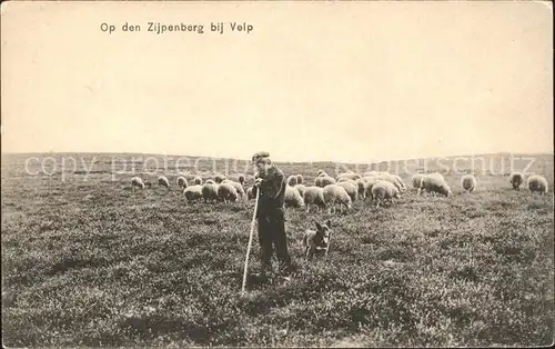 Hirte Kind Hund Schafe Zijpenberg Velp Kat. Landwirtschaft