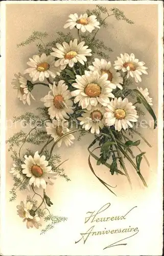 Blumen Margeriten Heureux Anniversaire Litho Kat. Pflanzen