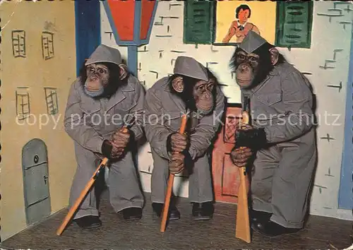 Affen Schimpansen vermenschlicht Soldaten Kat. Tiere