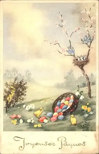 Ostern Easter Paques Kueken Blumen Ostereier  Schneegloeckchen Voegel Nest / Greetings /