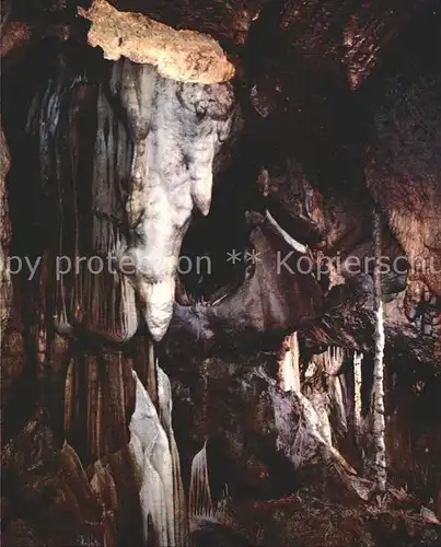 Hoehlen Caves Grottes Attendorn Tropfsteinhoehle Eisbaer Kat. Berge