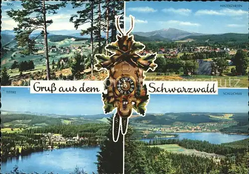 Uhren Kuckucksuhr Schwarzwald Hinterzarten Titisee Saig Schluchsee  Kat. Technik