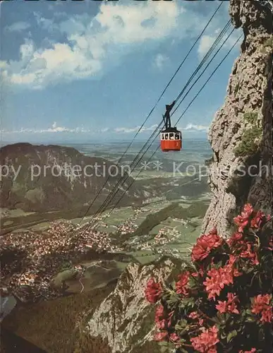 Seilbahn Predigtstuhl Bad Reichenhall Alpenrosen / Bahnen /