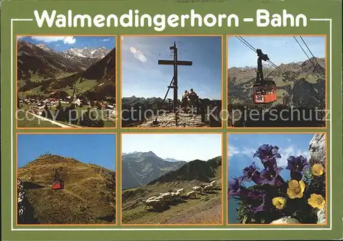 Seilbahn Walmendingerhorn Mittelberg Enzian Schafe  / Bahnen /