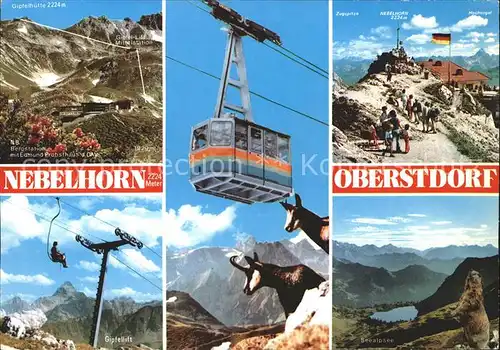 Seilbahn Nebelhorn Oberstdorf Gemse Murmeltier  / Bahnen /