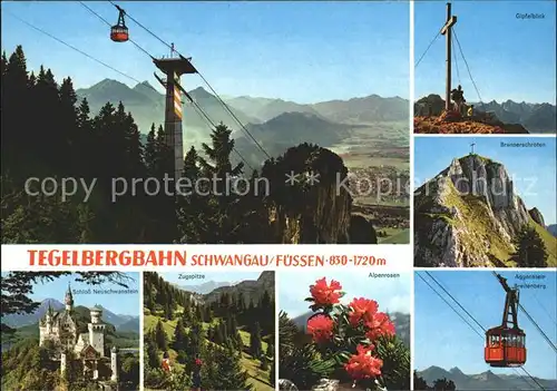 Seilbahn Tegelberg Schwangau-Fuessen Schloss Neuschwanstein Alpenrosen / Bahnen /