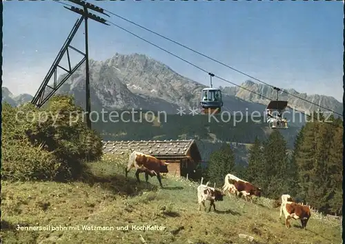 Seilbahn Jenner Watzmann Hochkalter Kuehe / Bahnen /