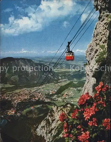 Seilbahn Predigtstuhl Bad Reichenhall  / Bahnen /