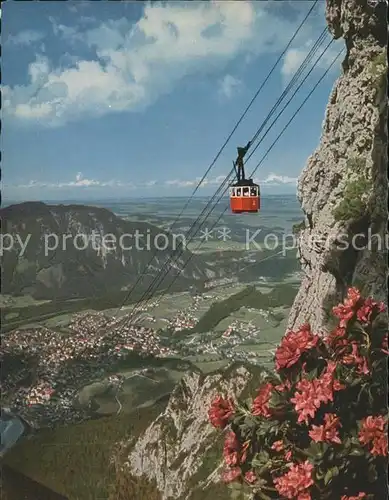 Seilbahn Predigtstuhl Bad Reichenhall  / Bahnen /