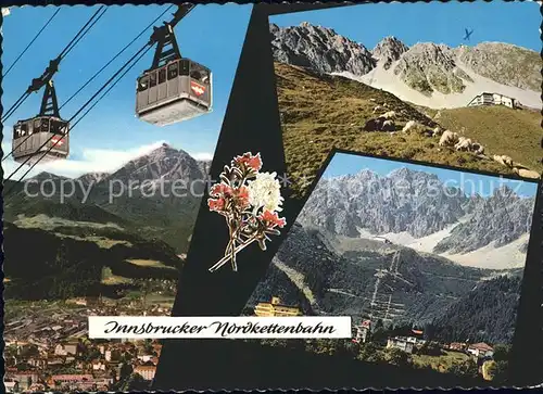 Seilbahn Innsbrucker Nordkettenbahn Serles Seegrube Hafelekar  / Bahnen /