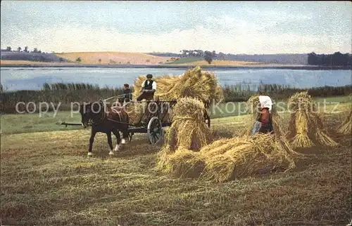 Verlag Photochromie Nr. 2834 Serie 154 Landwirtschaft Heuernte Pferdewagen Kat. Verlage