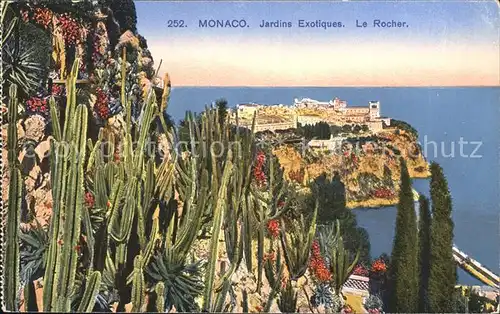 Kakteen Monaco Jardins Exotiques Le Rocher  Kat. Pflanzen