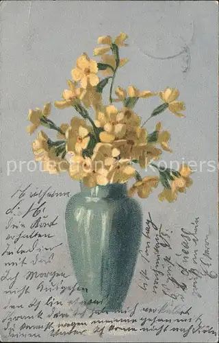 Blumen Schluesselblumen Vase Litho Kat. Pflanzen