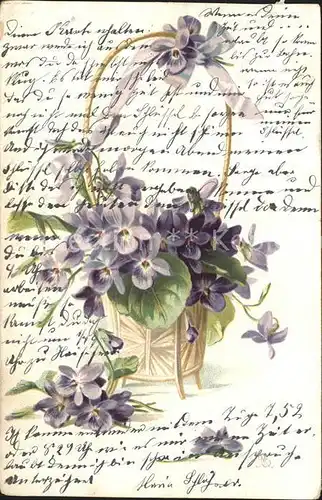 Blumen Veilchen Litho Kat. Pflanzen