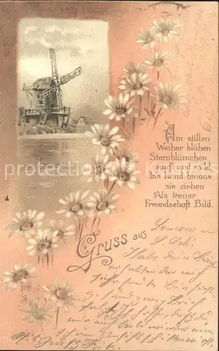 Windmuehle Margeriten Gedicht Litho Kat. Gebaeude und Architektur