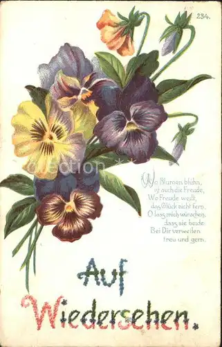 Blumen Stiefmuetterchen Gedicht Litho Kat. Pflanzen