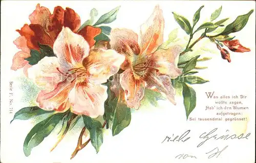 Blumengruesse Lilien Gedicht Litho  Kat. Greetings