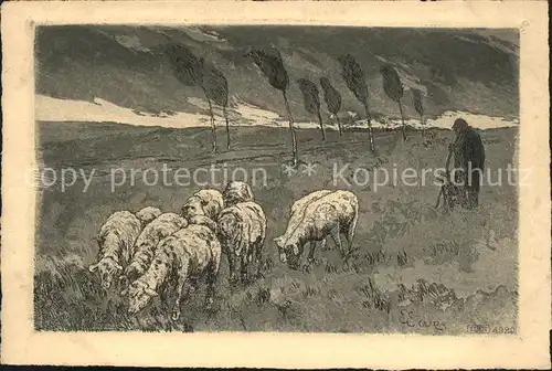 Hirte Schafe Kuenstlerkarte E. Ewe Nr. 4920 Kat. Landwirtschaft