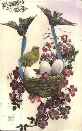 Voegel Kueken Nest Eier Blumen Ostern  Kat. Tiere