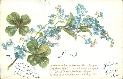 Blumengruesse Kleeblaetter Vergissmeinnicht Gedicht Litho Kat. Greetings