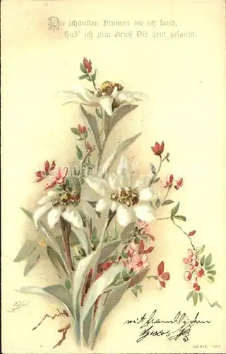 Blumengruesse Edelweiss Litho Kat. Greetings