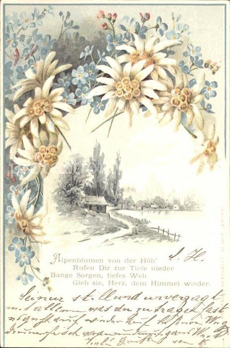 Edelweiss Litho Gedicht Spruch Kat. Pflanzen Nr. st89041 oldthing