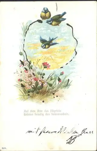 Voegel Blaumeisen Gaensebluemchen Spruch Litho Kat. Tiere