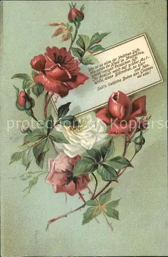 Rosen Gedicht Litho Kat. Pflanzen