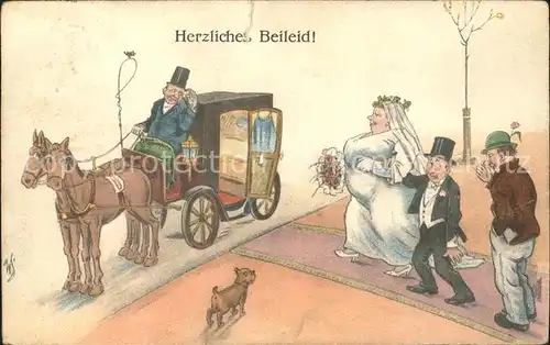 Pferdekutschen Hochzeit Humor Hund Zylinder  Kat. Tiere