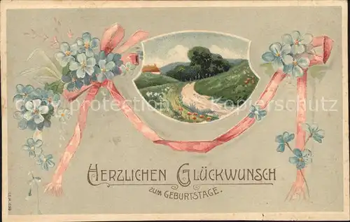 Geburtstag Glueckwunsch Vergissmeinnicht Litho Kat. Greetings