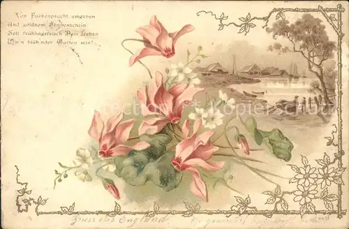 Blumen Alpenveilchen Gedicht Litho  Kat. Pflanzen
