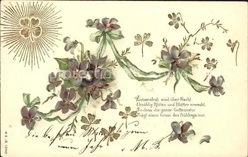 Blumen Veilchen Kleeblatt Gedicht Litho Kat. Pflanzen