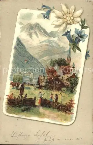 Edelweiss Enzian Berge Natur Landwirtschaft Litho Kat. Pflanzen