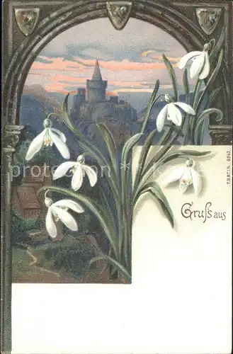 Blumen Schneegloeckchen Schloss Litho Kat. Pflanzen