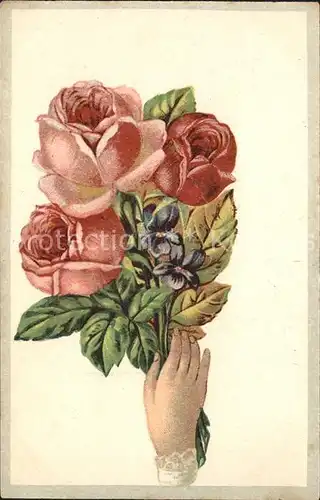 Rosen Veilchen Hand Litho Kat. Pflanzen