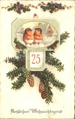 Weihnachten Rotkehlchen Tannenzapfen Datum Kat. Greetings