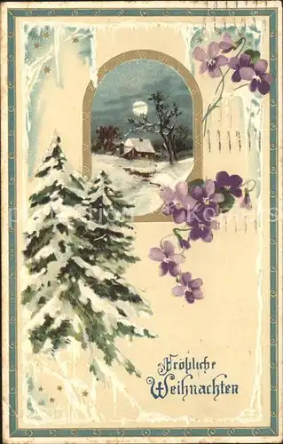 Weihnachten Veilchen Tannenbaum Litho Kat. Greetings
