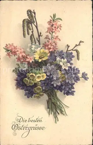Ostern Easter Paques Leberbluemchen Schluesselblumen Margerite Weidenkaetzchen / Greetings /