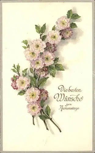 Namenstag Namenskarte Glueckwunsch Blumen Litho /  /