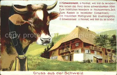 Kuehe Schweiz Bauernhaus Gedicht  Kat. Tiere