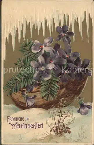 Weihnachten Veilchen Eiszapfen Litho Kat. Greetings