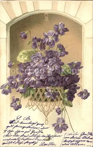 Blumen Veilchen Litho  Kat. Pflanzen