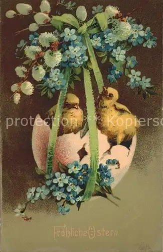 Ostern Easter Paques Kueken Vergissmeinnicht Ei Weidenkaetzchen Litho / Greetings /
