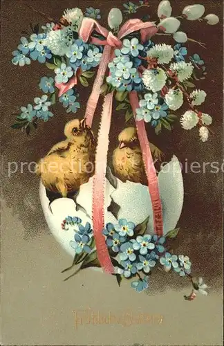 Ostern Easter Paques Kueken Vergissmeinnicht Weidenkaetzchen Ei Litho / Greetings /